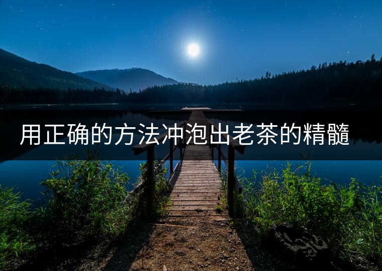 用正確的方法沖泡出老茶的精髓；評看普洱茶葉底也是一門手藝！