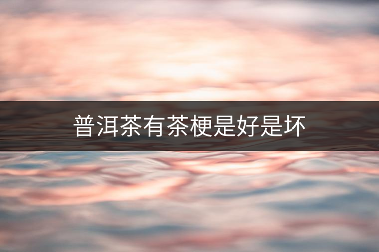 普洱茶有茶梗是好是壞