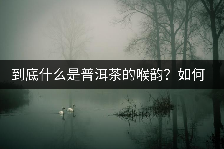 到底什么是普洱茶的喉韻？如何感受？