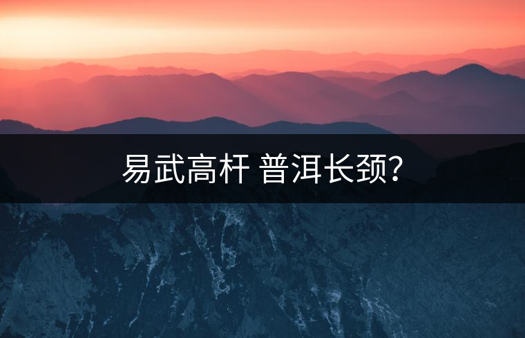 易武高桿 普洱長頸？