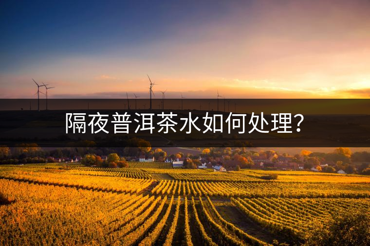 隔夜普洱茶水如何處理？