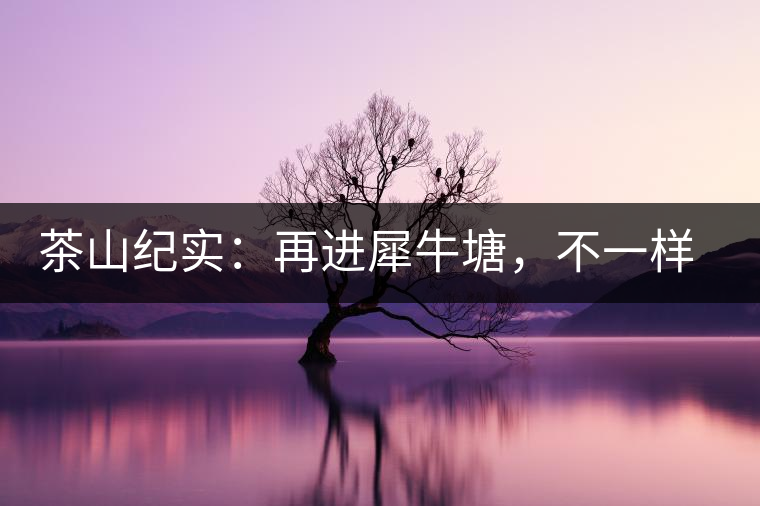 茶山紀(jì)實：再進犀牛塘，不一樣的感覺；菁瑤可以預(yù)見的豐收年