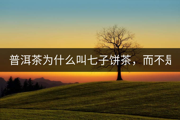 普洱茶為什么叫七子餅茶，而不是六子餅、八子餅......？