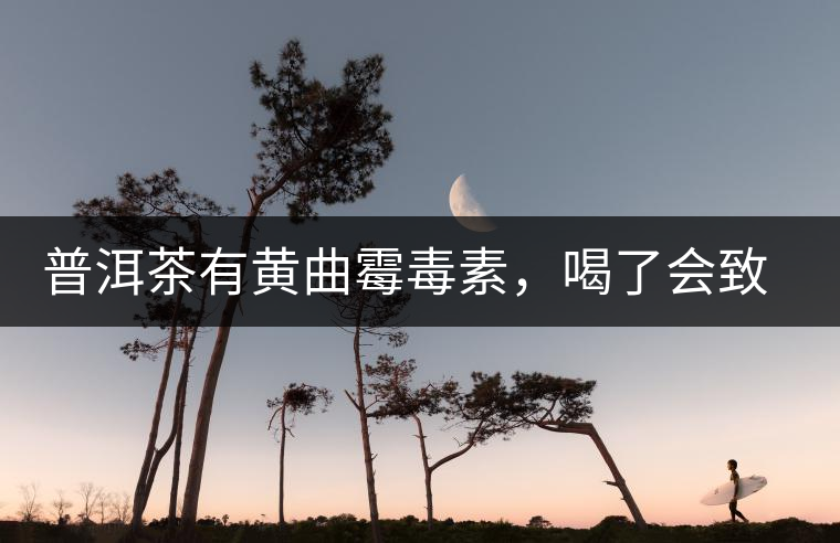 普洱茶有黃曲霉毒素，喝了會致癌？不黑不吹，咱用事實說話