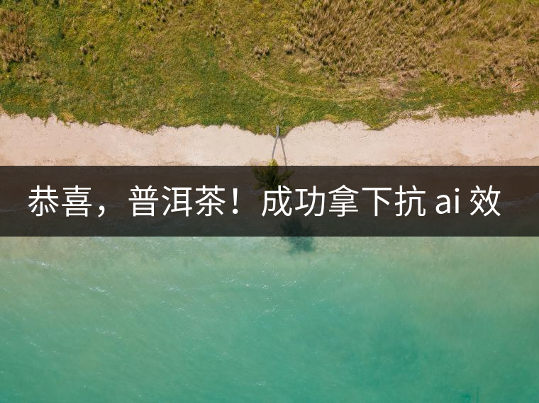 恭喜，普洱茶！成功拿下抗 ai 效果第二名！