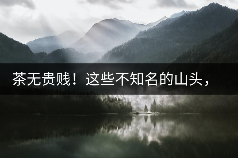 茶無(wú)貴賤！這些不知名的山頭，其實(shí)也產(chǎn)優(yōu)質(zhì)普洱茶！