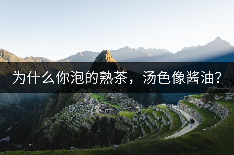 為什么你泡的熟茶，湯色像醬油？