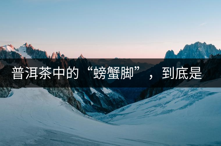 普洱茶中的“螃蟹腳”，到底是什么？如何辨別？