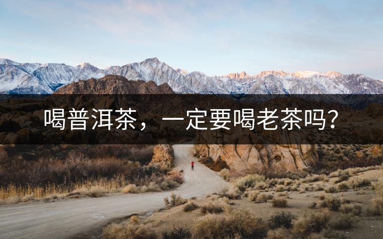 喝普洱茶，一定要喝老茶嗎？