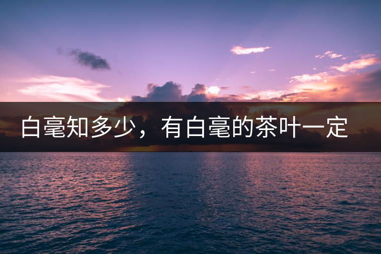 白毫知多少，有白毫的茶葉一定好嗎？