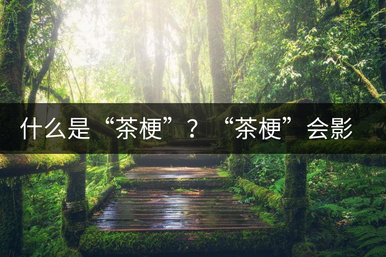 什么是“茶?！?？“茶?！睍?huì)影響普洱茶品質(zhì)？