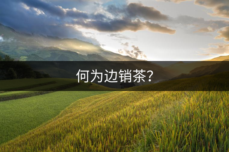 何為邊銷茶？