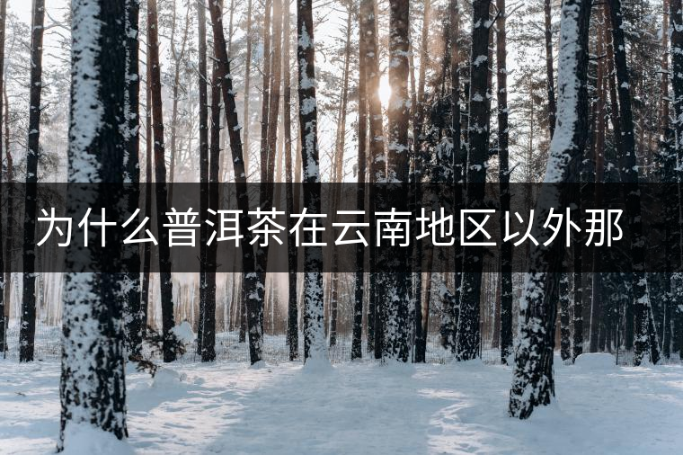 為什么普洱茶在云南地區(qū)以外那么受歡迎？