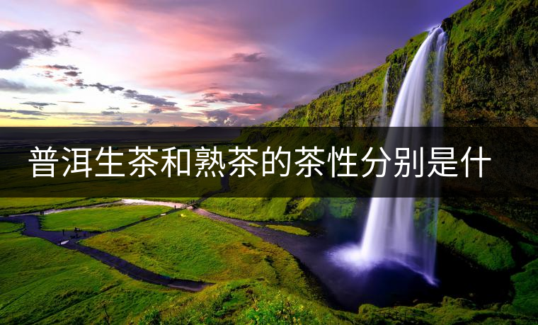 普洱生茶和熟茶的茶性分別是什么？涼性還是熱性？