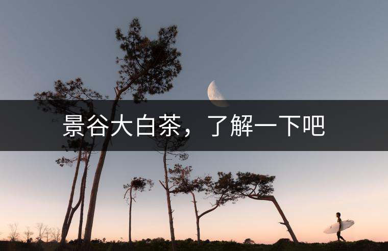 景谷大白茶，了解一下吧