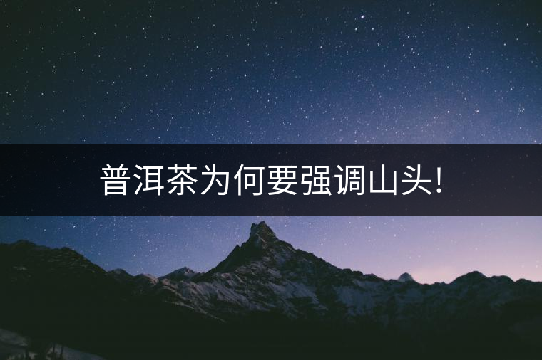普洱茶為何要強調山頭! 普洱茶為何要強調山頭!
