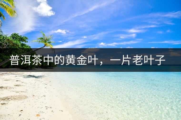 普洱茶中的黃金葉,一片老葉子的成功逆襲 普洱茶中的黃金葉,一片老葉子的成功逆襲