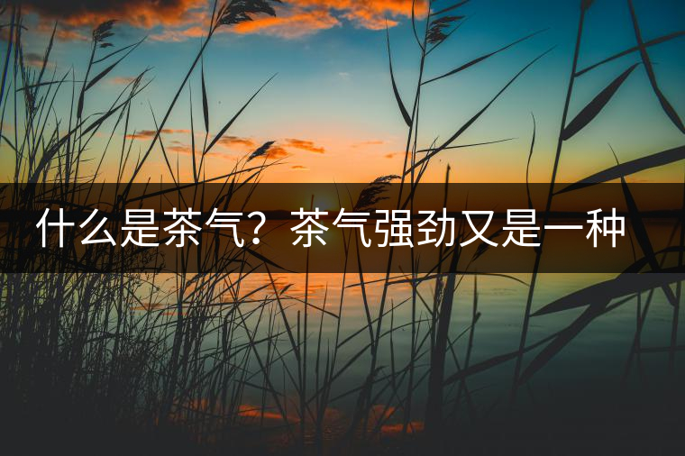 什么是茶氣？茶氣強(qiáng)勁又是一種怎樣的體驗(yàn)？