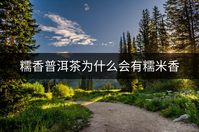 糯香普洱茶為什么會有糯米香 糯香普洱茶為什么會有糯米香