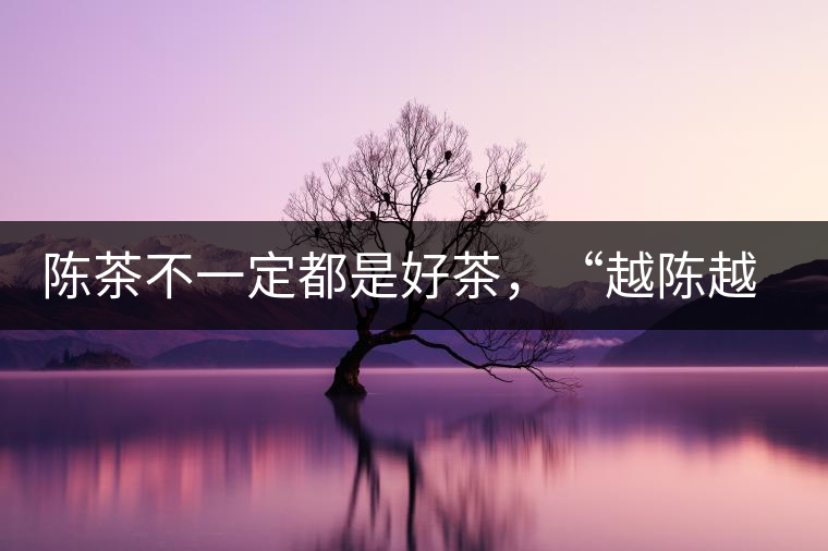 陳茶不一定都是好茶，“越陳越香”也要看茶種類！