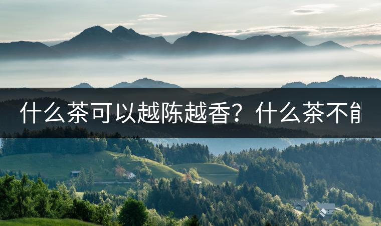 什么茶可以越陳越香？什么茶不能？