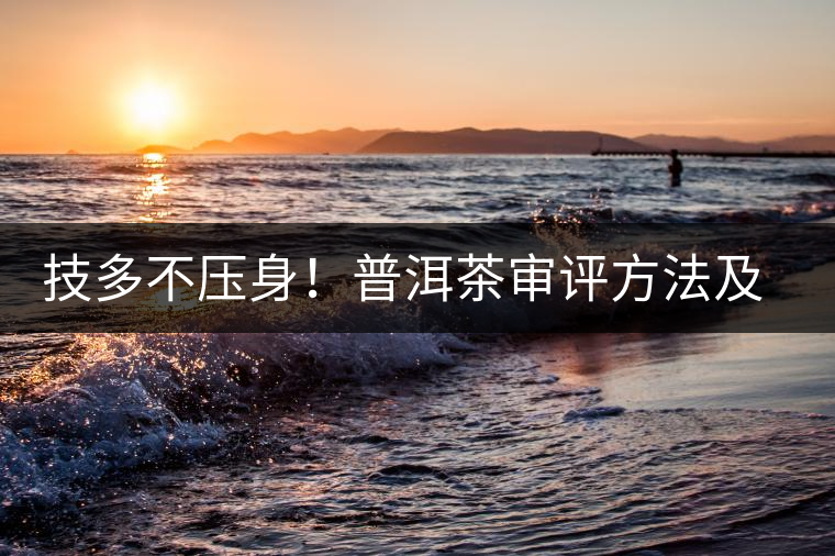 技多不壓身！普洱茶審評(píng)方法及專(zhuān)業(yè)術(shù)語(yǔ)大全（下）