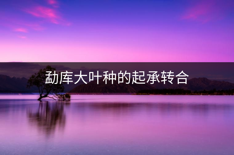 勐庫大葉種的起承轉合 勐庫大葉種的起承轉合
