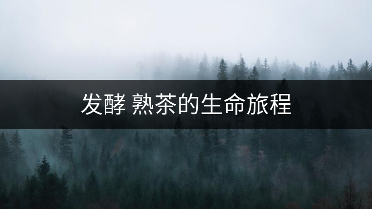 發(fā)酵 熟茶的生命旅程 發(fā)酵 熟茶的生命旅程