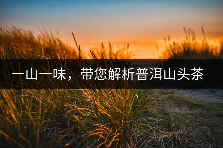 一山一味，帶您解析普洱山頭茶的密碼究竟是什么？
