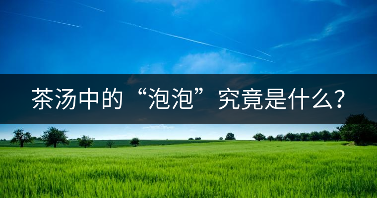 茶湯中的“泡泡”究竟是什么？