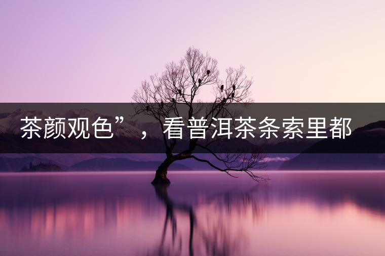 茶顏觀色”，看普洱茶條索里都蘊(yùn)含著怎樣的“密碼”？