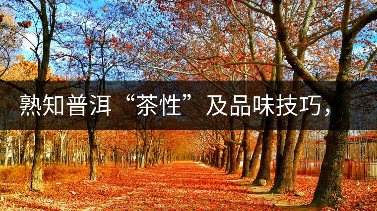 熟知普洱“茶性”及品味技巧，方能品出好茶