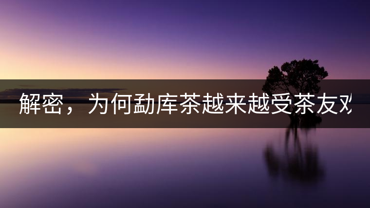 解密，為何勐庫茶越來越受茶友歡迎！