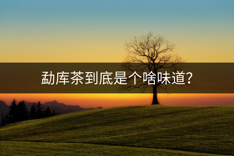勐庫(kù)茶到底是個(gè)啥味道？
