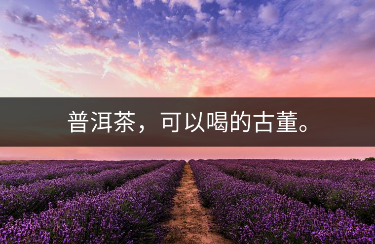 普洱茶，可以喝的古董。