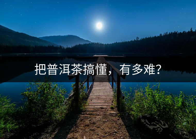 把普洱茶搞懂，有多難？