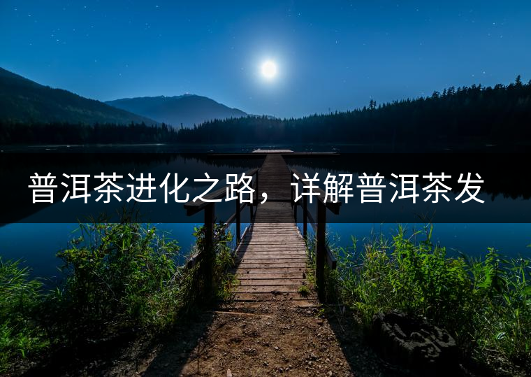 普洱茶進(jìn)化之路，詳解普洱茶發(fā)展的三大重要階段