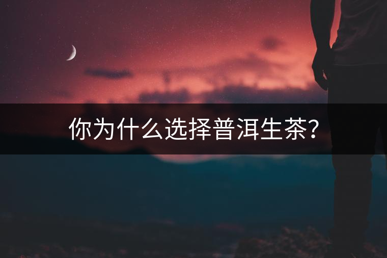 你為什么選擇普洱生茶？