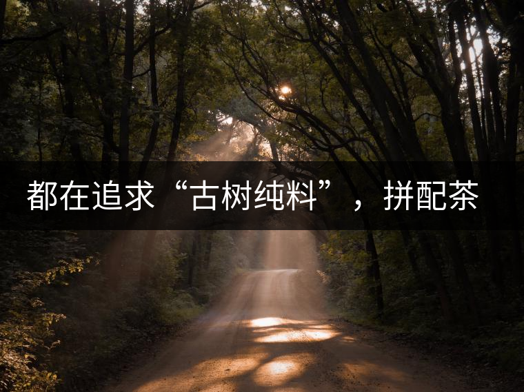 都在追求“古樹純料”，拼配茶真的不如純料的？
