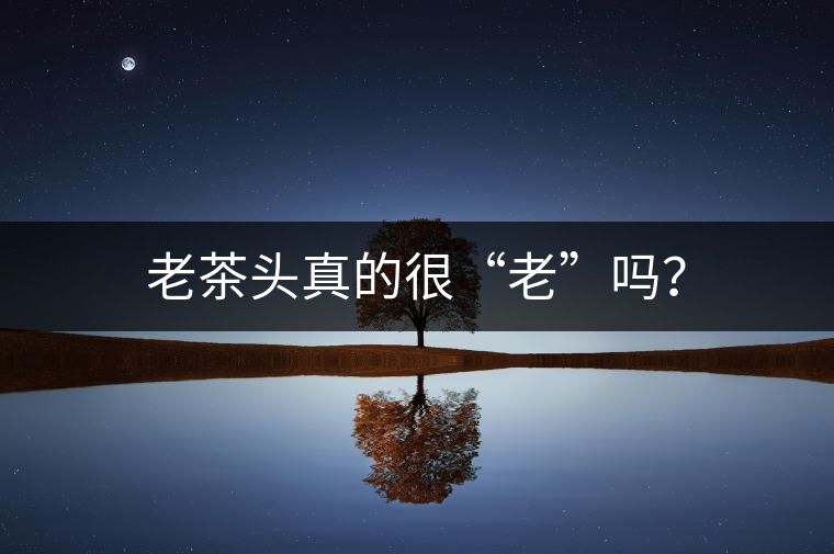 老茶頭真的很“老”嗎？