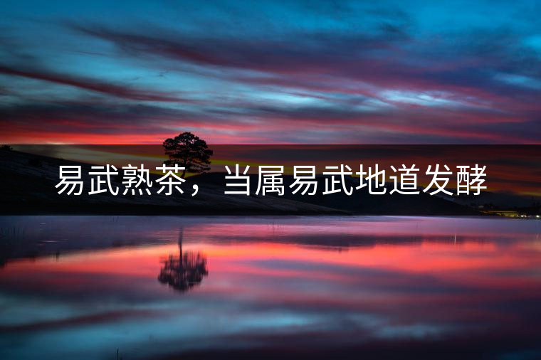 易武熟茶，當(dāng)屬易武地道發(fā)酵