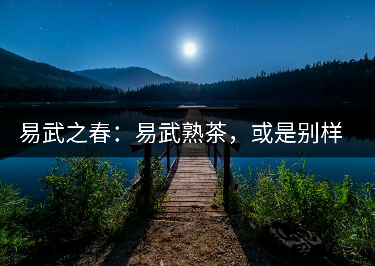 易武之春：易武熟茶，或是別樣風(fēng)采丨賞鑒