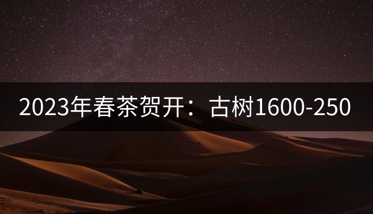 2023年春茶賀開:古樹1600-2500元 2023年春茶賀開:古樹1600-2500元