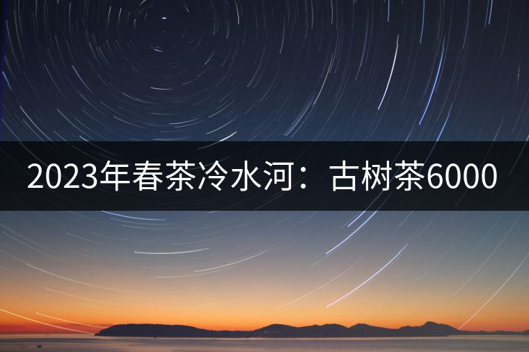 2023年春茶冷水河:古樹(shù)茶6000-6500元/公斤 2023年春茶冷水河:古樹(shù)茶6000-6500元/公斤