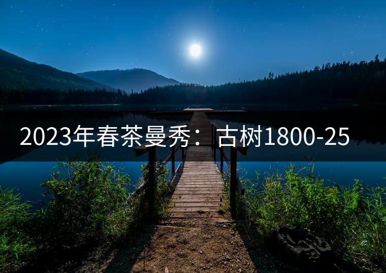 2023年春茶曼秀：古樹1800-2500元／公斤
