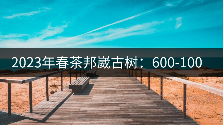 2023年春茶邦崴古樹(shù):600-1000元/公斤 2023年春茶邦崴古樹(shù):600-1000元/公斤