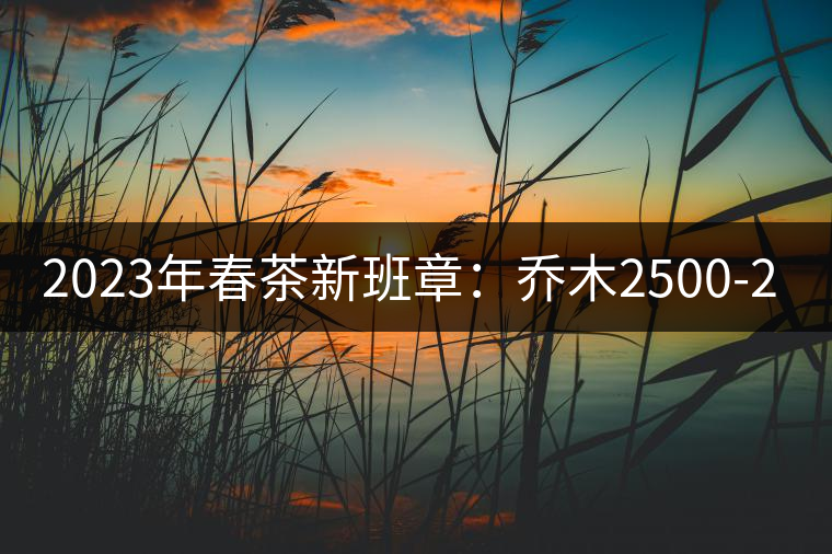 2023年春茶新班章：?jiǎn)棠?500-2800元／公斤 古樹：4500~6500元／公斤