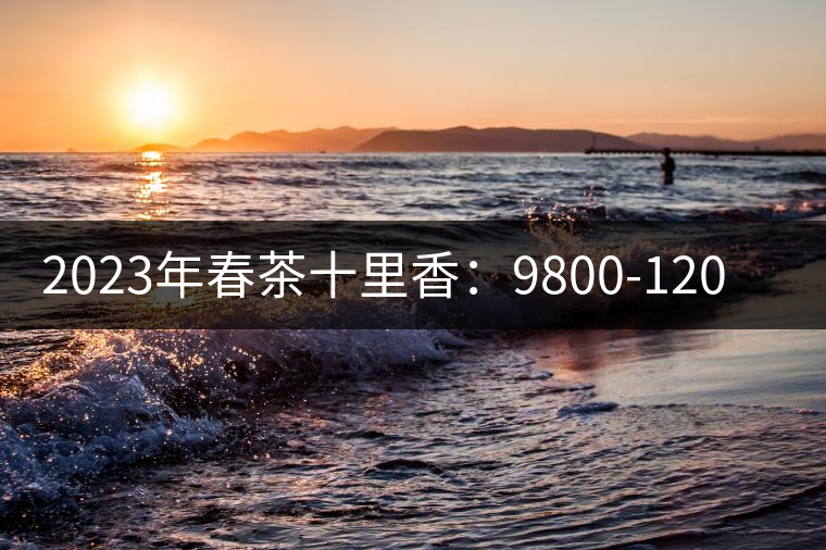 2023年春茶十里香：9800-12000元／公斤，十里香紅茶：9800-12000元／公斤