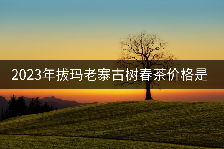 2023年拔瑪老寨古樹春茶價(jià)格是多少？
