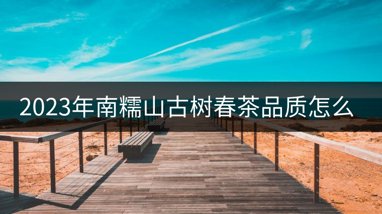 2023年南糯山古樹春茶品質(zhì)怎么樣？